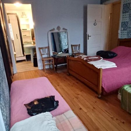 Chez Virginie - Chambre Du Bourg Lourdes Exteriör bild